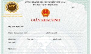 Nộp tờ khai đăng ký khai sinh online được không?